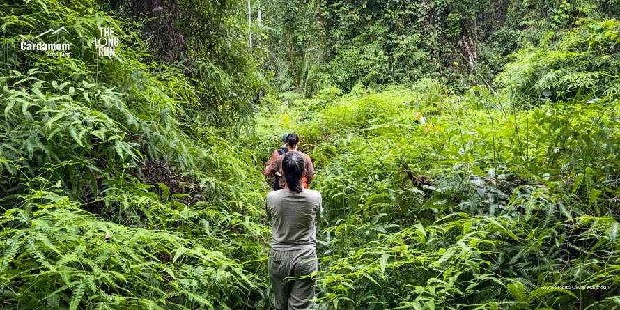 Two runners walk through a dense jungle trail lined with green ferns and plants. (event branding visible in the top-left corner)