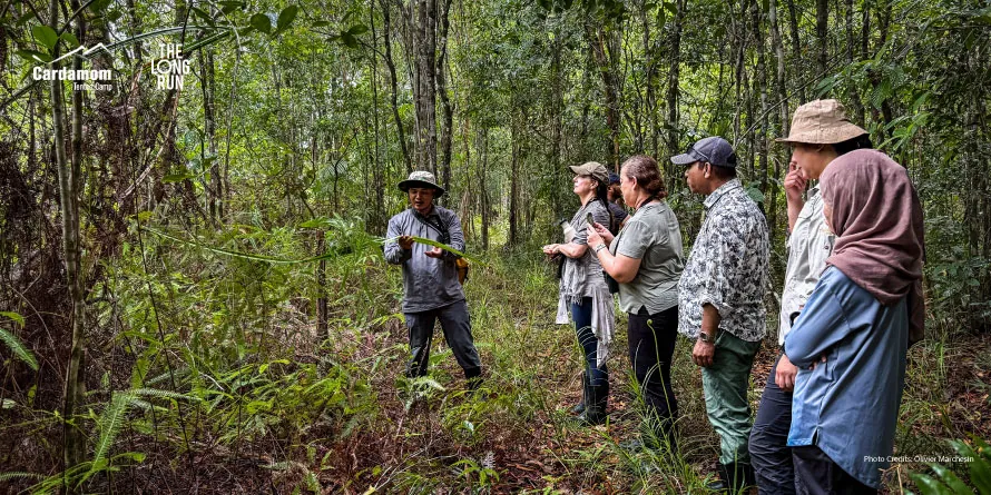 Forest guide in a hat shows a map to six people standing in dense jungle.